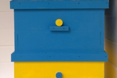 38_full